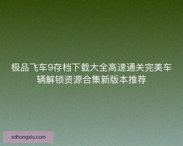极品飞车9存档下载大全高速通关完美车辆解锁资源合集新版本推荐