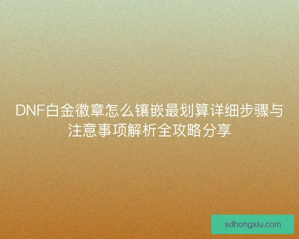 DNF白金徽章怎么镶嵌最划算详细步骤与注意事项解析全攻略分享