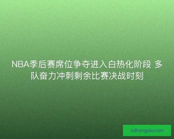 NBA季后赛席位争夺进入白热化阶段 多队奋力冲刺剩余比赛决战时刻
