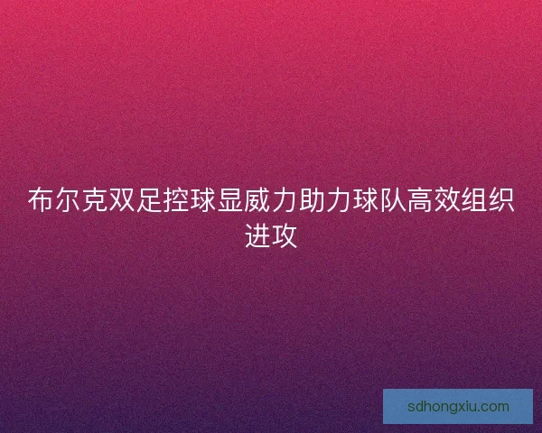 布尔克双足控球显威力助力球队高效组织进攻